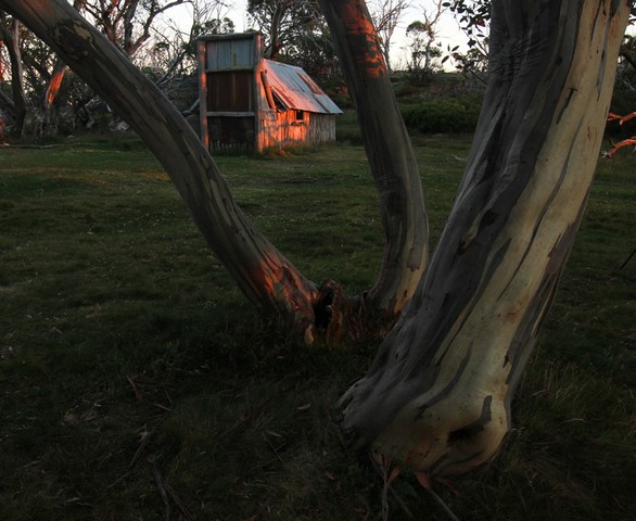 Image by Jill Hancock